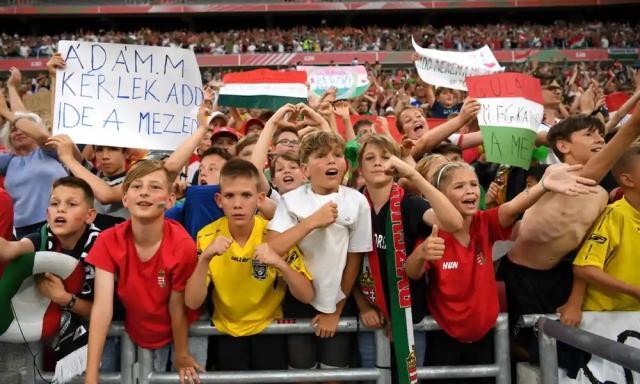 1654387194580015526.jpg 1654386622508.jpg